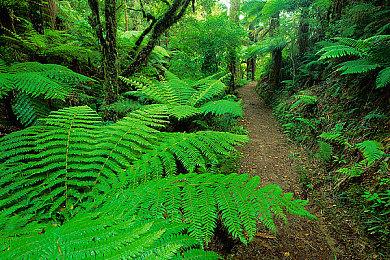 《吸血鬼幸存者》Switch和Xbox更新多人模式