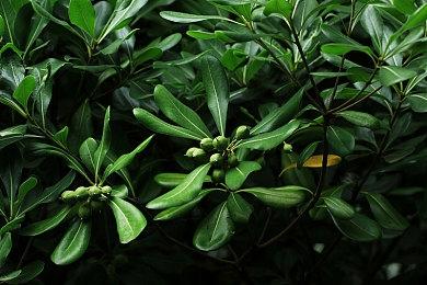 粉丝自制《超级马里奥阳光》续作 预告片展示