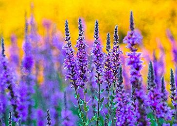 风格化科幻探索冒险游戏《巨大浪潮》现已登录Steam平台